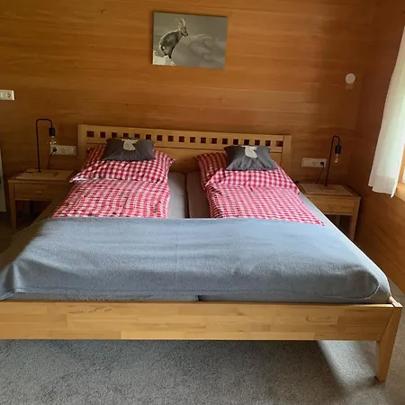 Apartment Gaestehaus Kaufmann Mellau